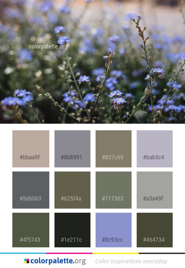 Blue Flora Flower Color Palette