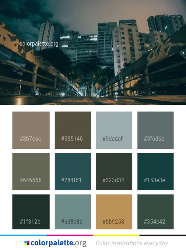 Cityscape Urban Area Metropolis Color Palette