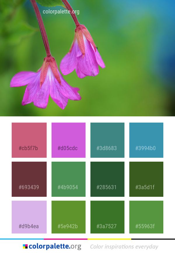 Flower Flora Pink Color Palette