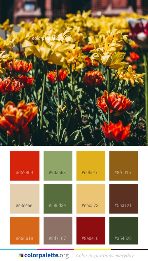 Flower Plant Flowering Color Palette