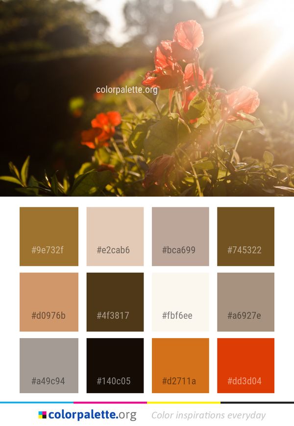 Flower Red Flora Color Palette