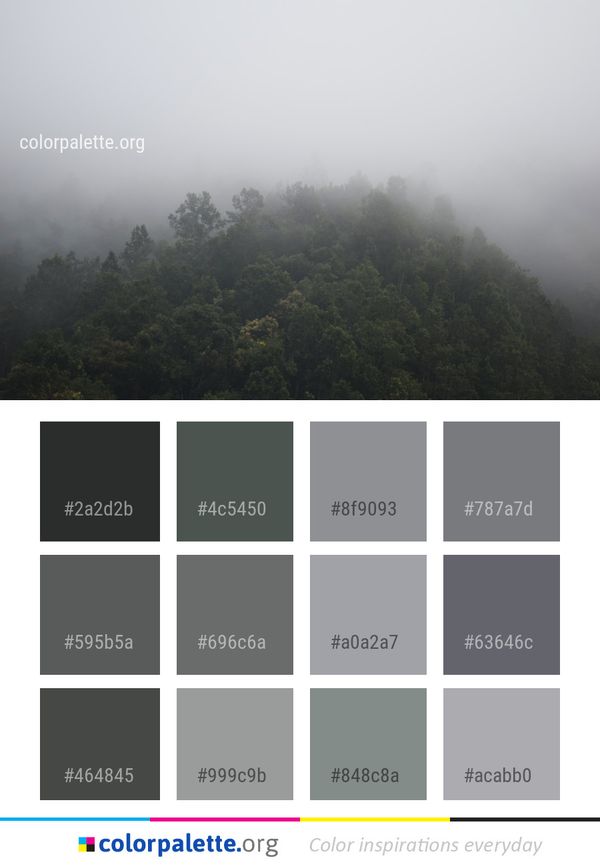Fog Mist Sky Color Palette