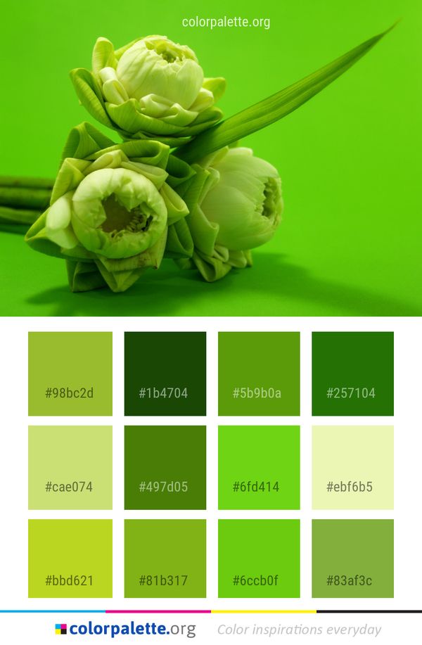 Green Flower Plant Color Palette