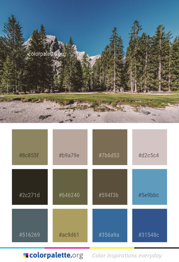 Nature Wilderness Ecosystem Color Palette