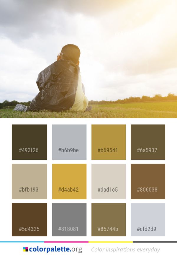 Photograph Sky Grass Color Palette
