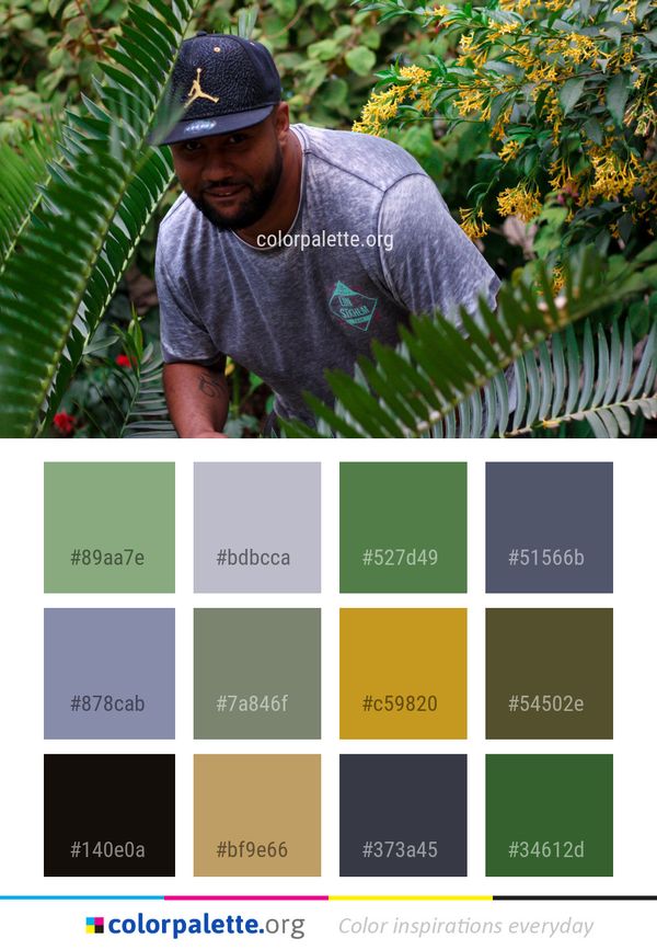 Plant Tree Woody Color Palette