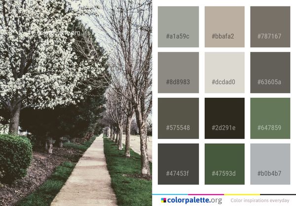 Tree Plant Blossom Color Palette