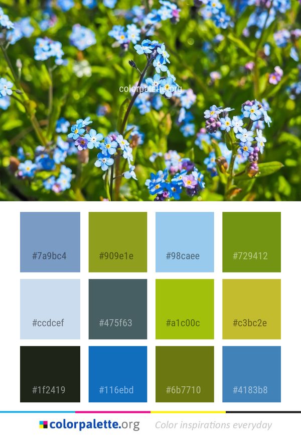 Flower Blue Plant Color Palette