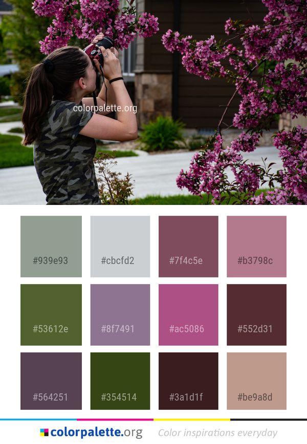 Flower Plant Purple Color Palette