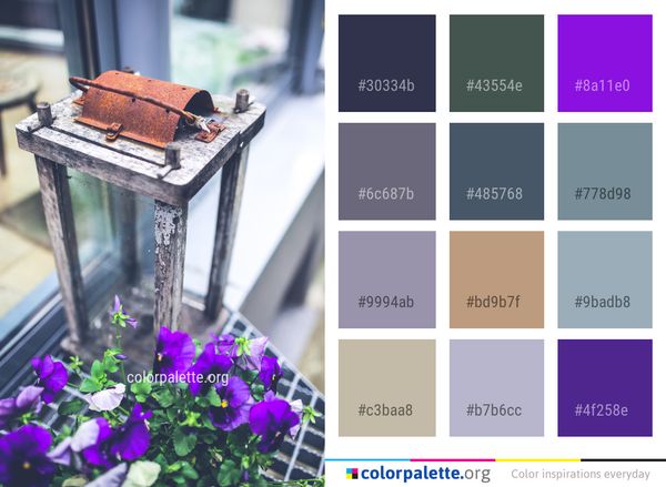 Flower Purple Plant Color Palette