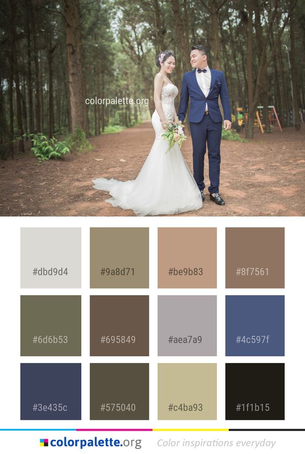 Gown Bride Photograph Color Palette