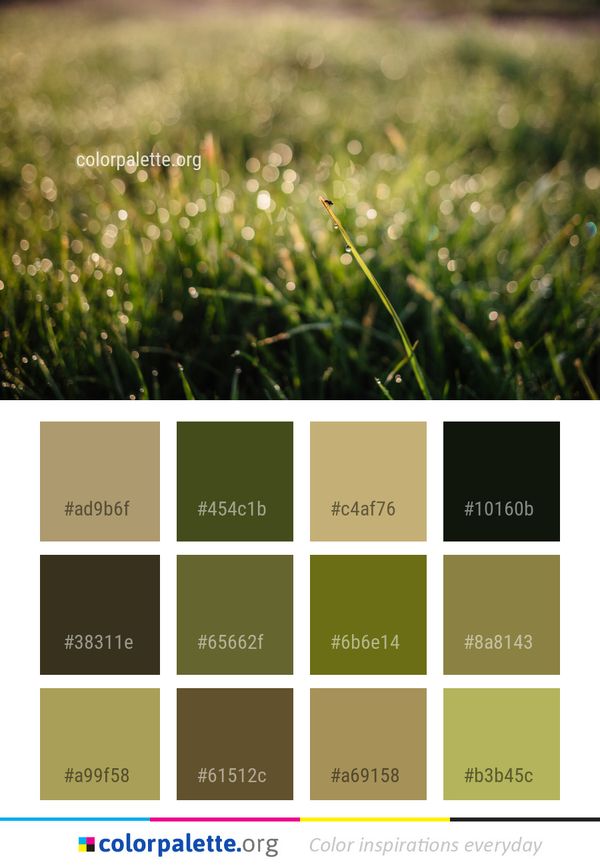 Grass Water Moisture Color Palette