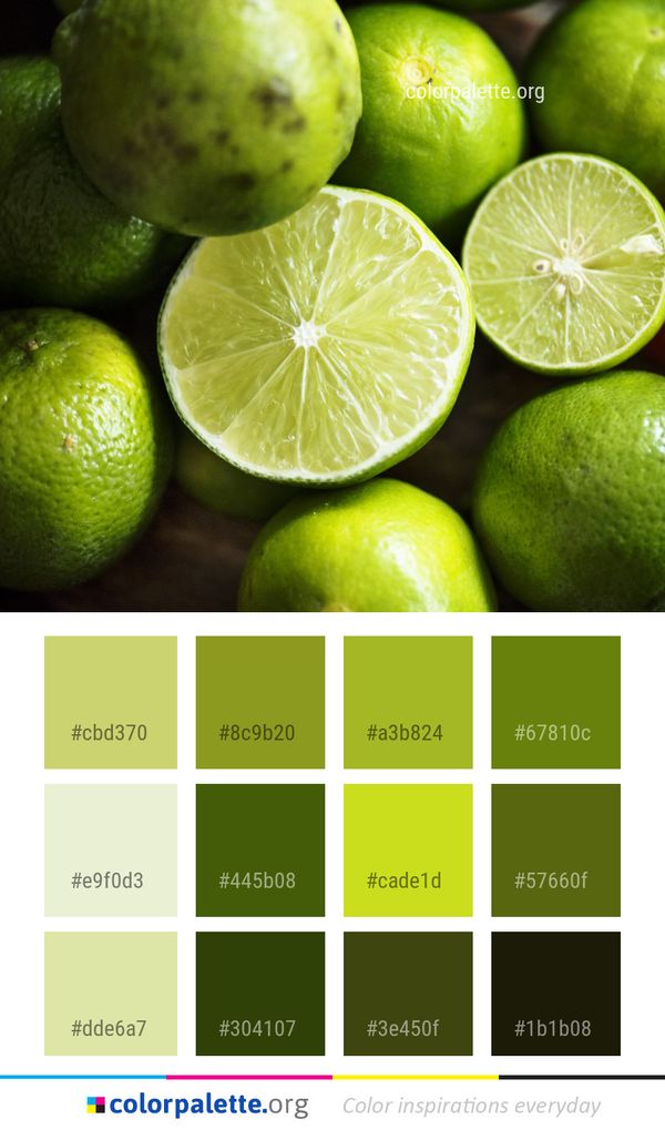 Lime Persian Citrus Color Palette