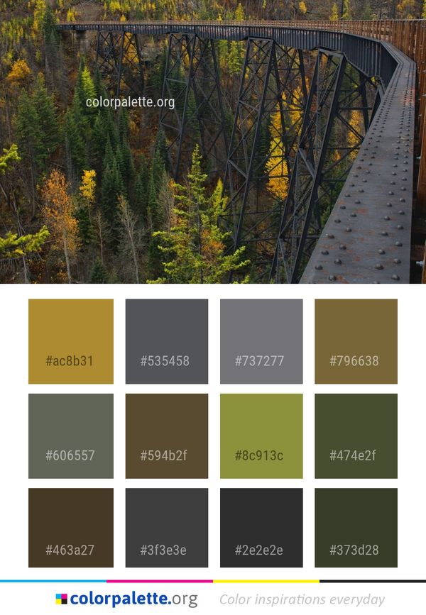 Nature Leaf Tree Color Palette