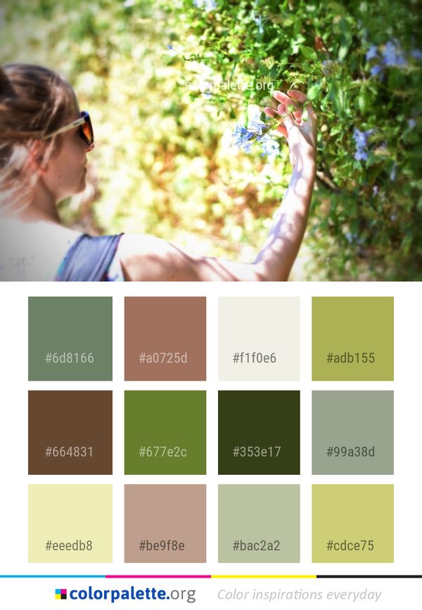 Nature Photograph Tree Color Palette
