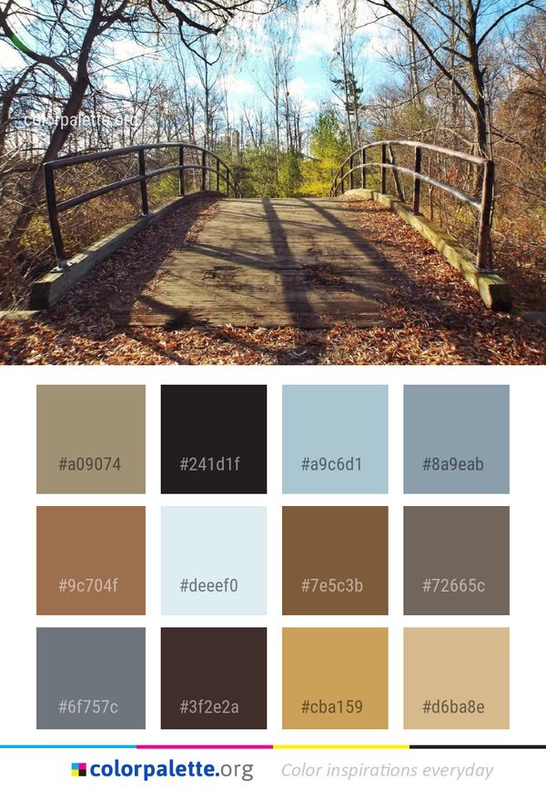Path Nature Reserve Woodland Color Palette