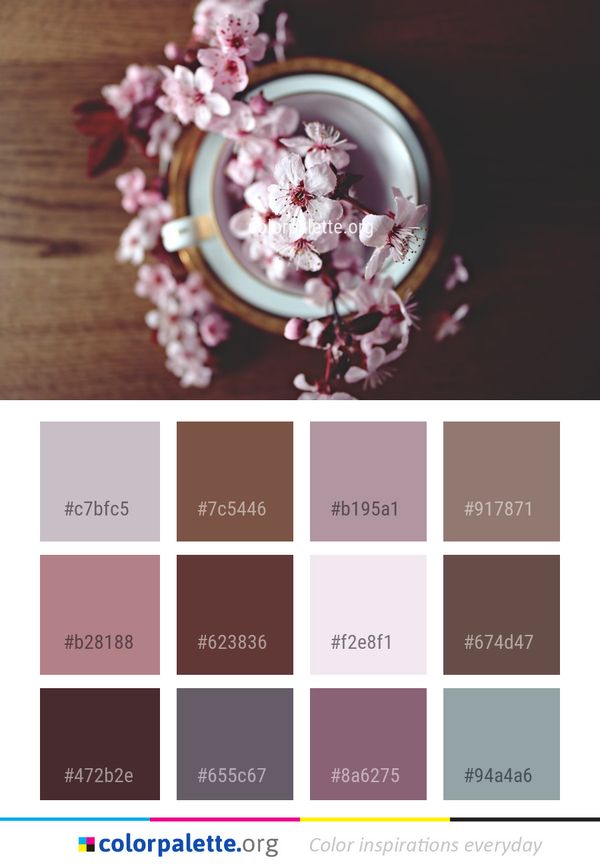 Pink Flower Blossom Color Palette