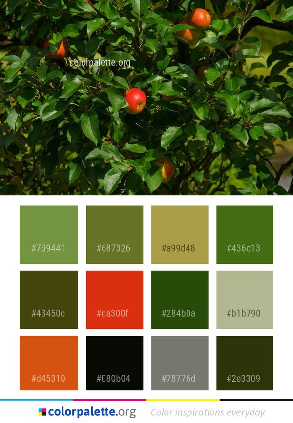 Plant Fruit Tree Color Palette