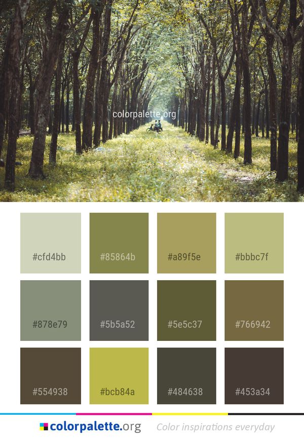 Woodland Nature Ecosystem Color Palette