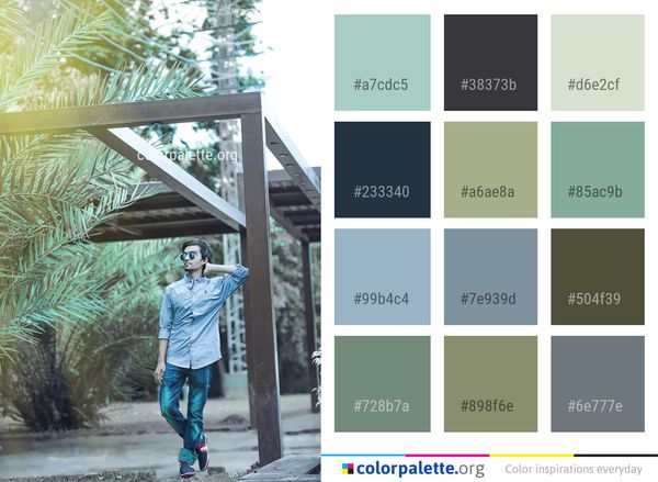 Green Photograph Tree Color Palette