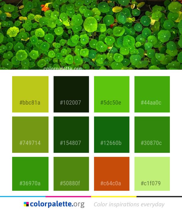 Green Vegetation Leaf Color Palette