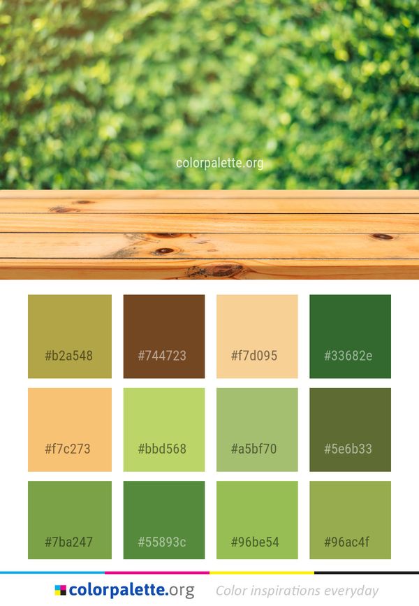 Green Yellow Leaf Color Palette