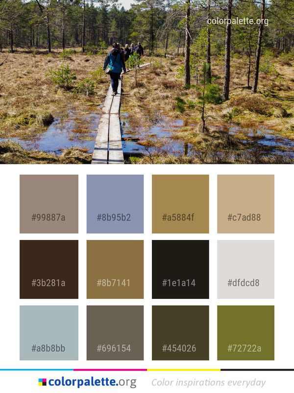 Path Wilderness Nature Reserve Color Palette