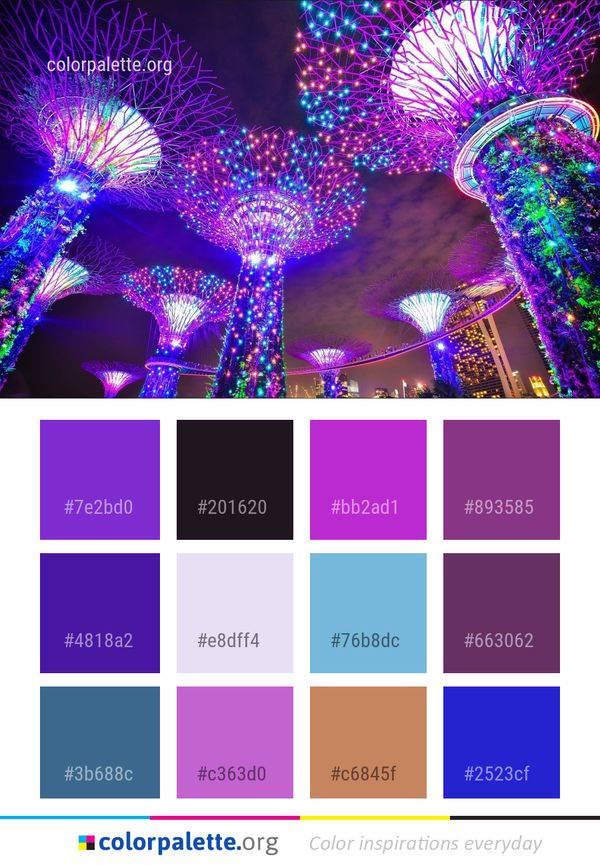 Purple Pink Entertainment Color Palette