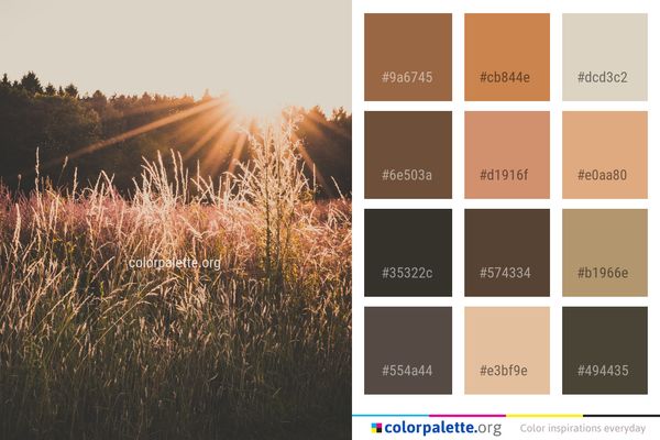 Sky Grass Sunlight Color Palette