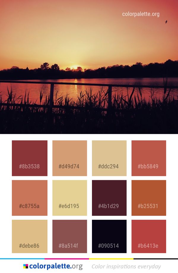 Sky Reflection Sunset Color Palette