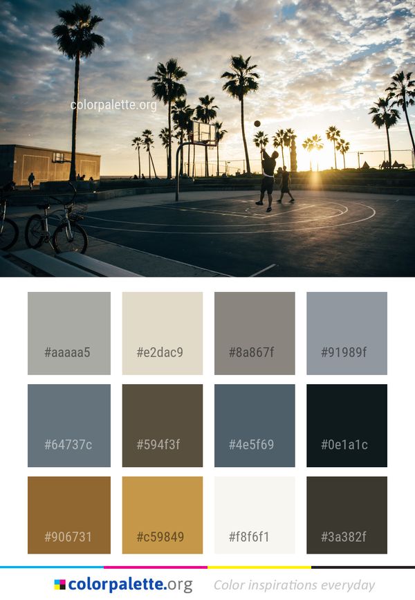 Sky Tree Cloud Color Palette