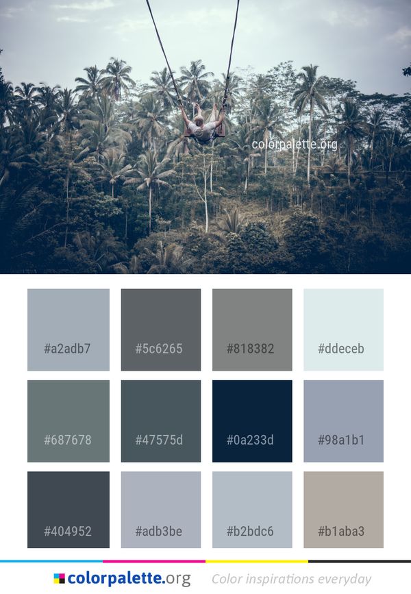 Sky Tree Plant Color Palette