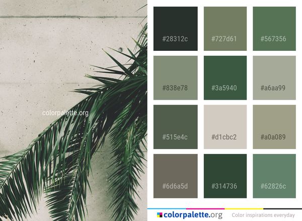 Tree Arecales Leaf Color Palette