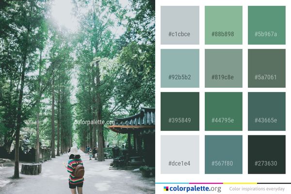 Tree Green Nature Color Palette