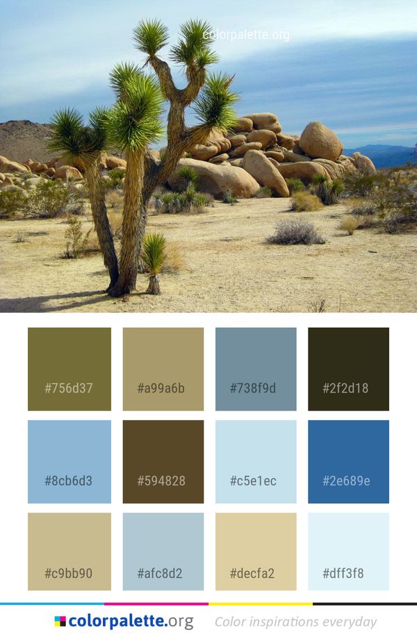 Vegetation Ecosystem Tree Color Palette