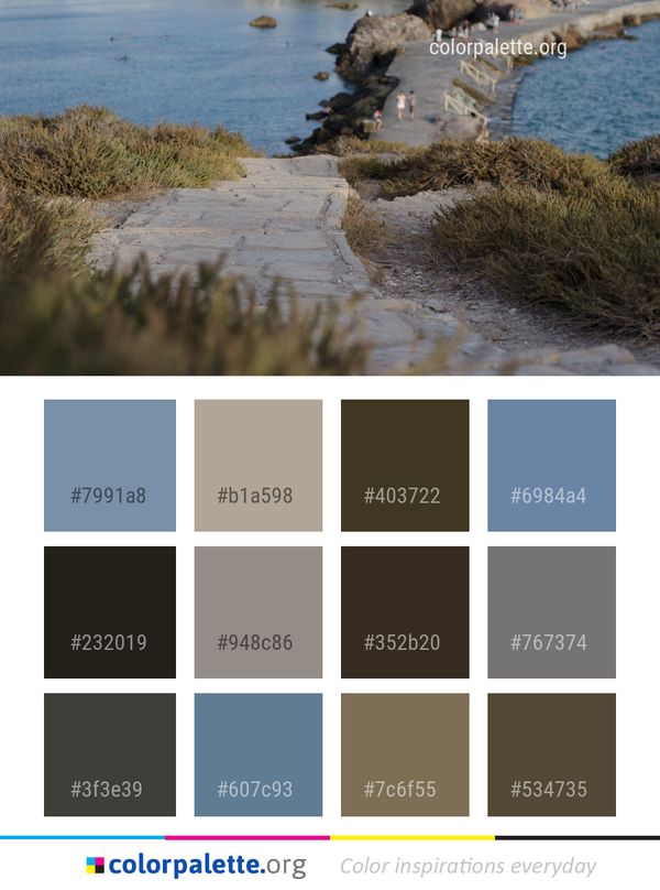 Water Wetland Shore Color Palette