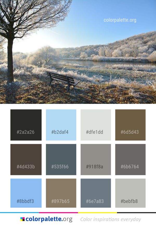 Winter Frost Snow Color Palette