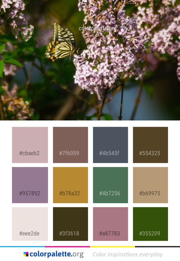 Flower Butterfly Lilac Color Palette