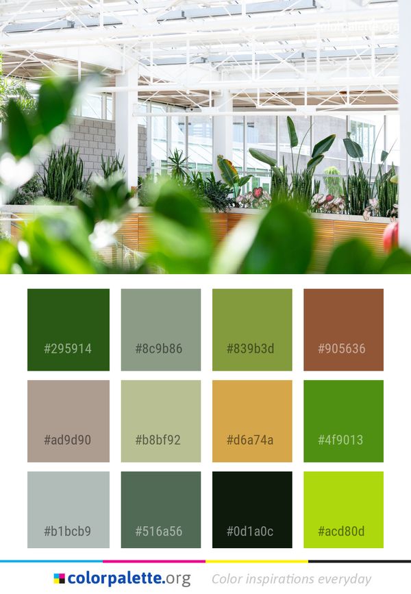 Greenhouse Plant Outdoor Structure Color Palette