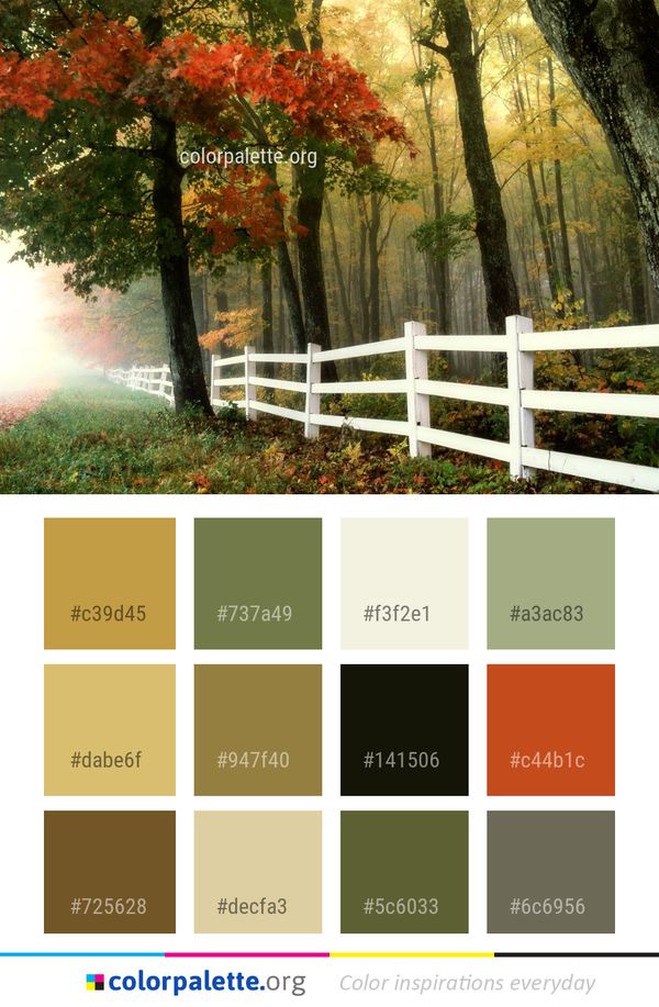 Nature Autumn Leaf Color Palette
