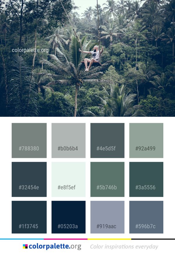 Nature Vegetation Tree Color Palette