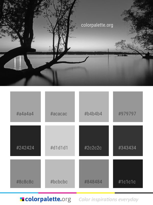 Reflection Water Tree Color Palette