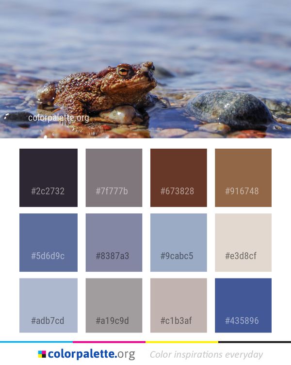 Toad Amphibian Frog Color Palette