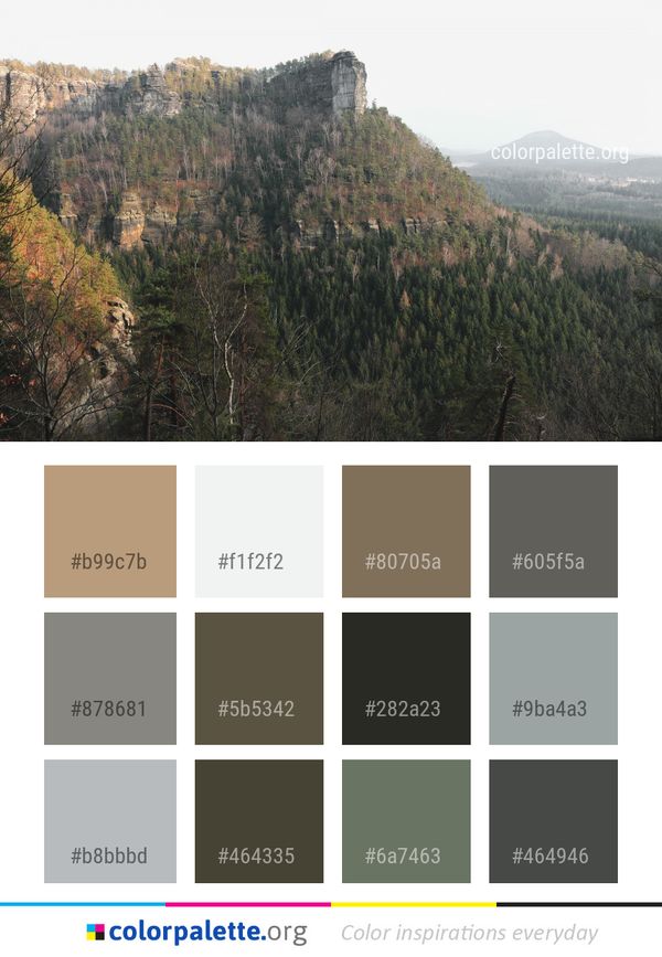 Tree Mountainous Landforms Wilderness Color Palette