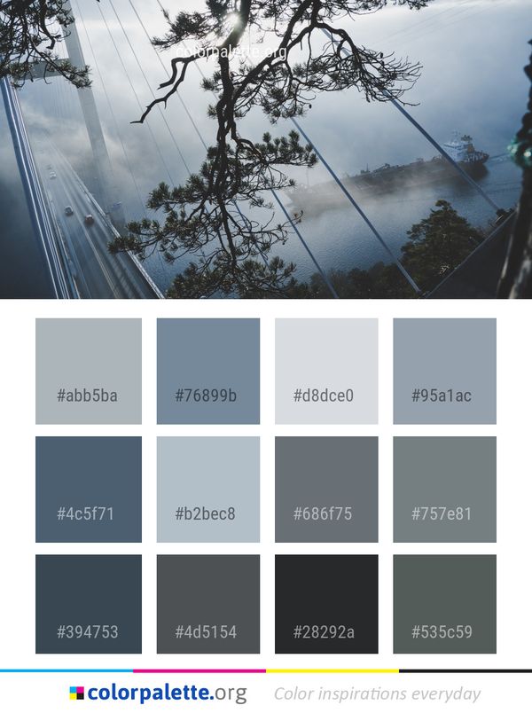 Tree Sky Water Color Palette