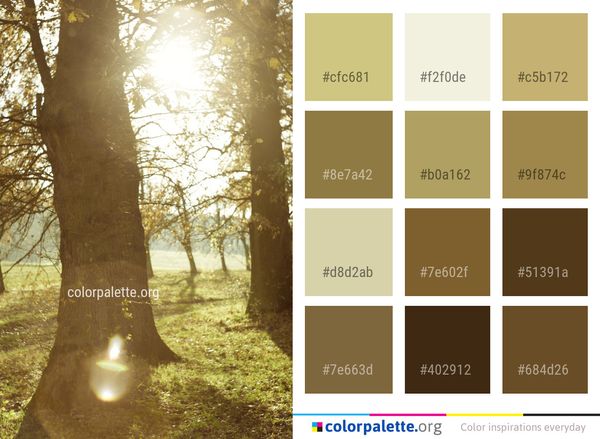 Tree Woodland Woody Plant Color Palette