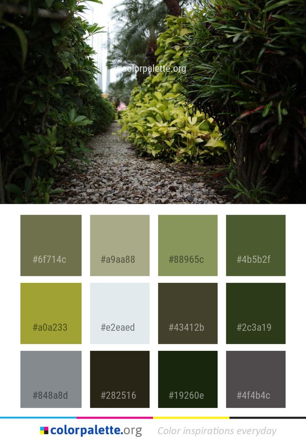 Vegetation Plant Flora Color Palette