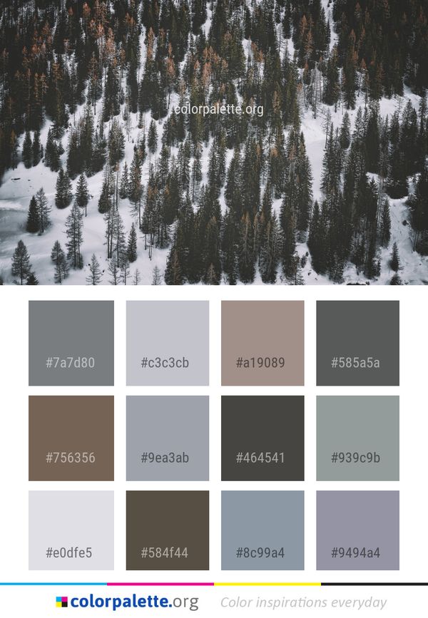 Water Reflection Nature Color Palette