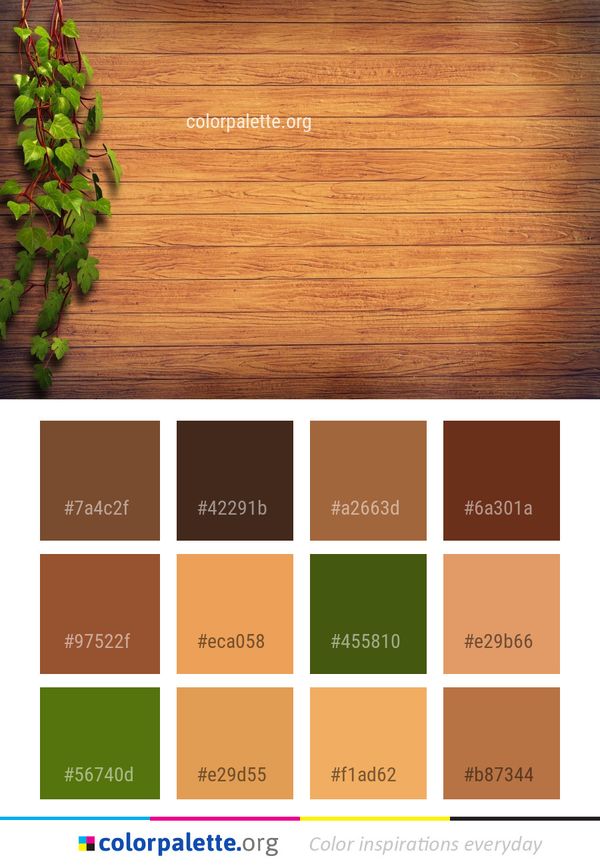 Wood Hardwood Stain Color Palette