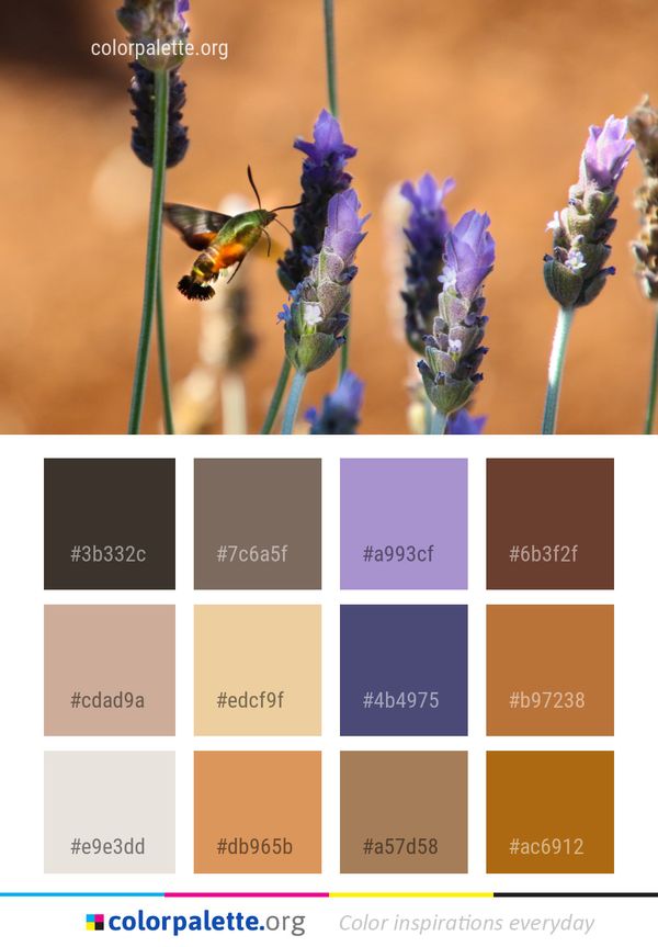 Flora Flower Bird Color Palette